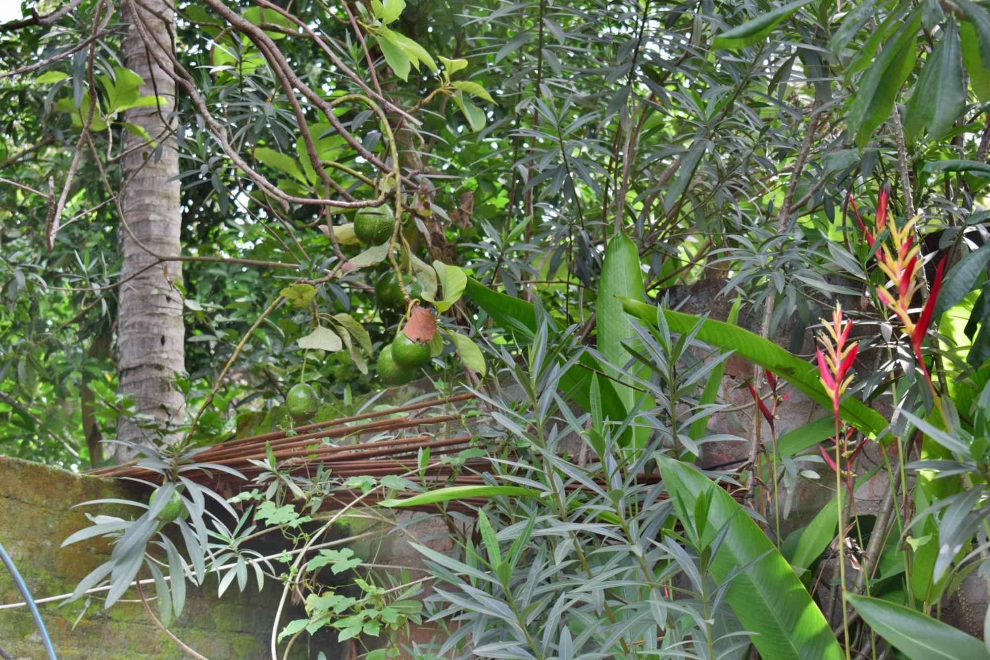 Silent Waters Resorts เยลาคีรี ภายนอก รูปภาพ