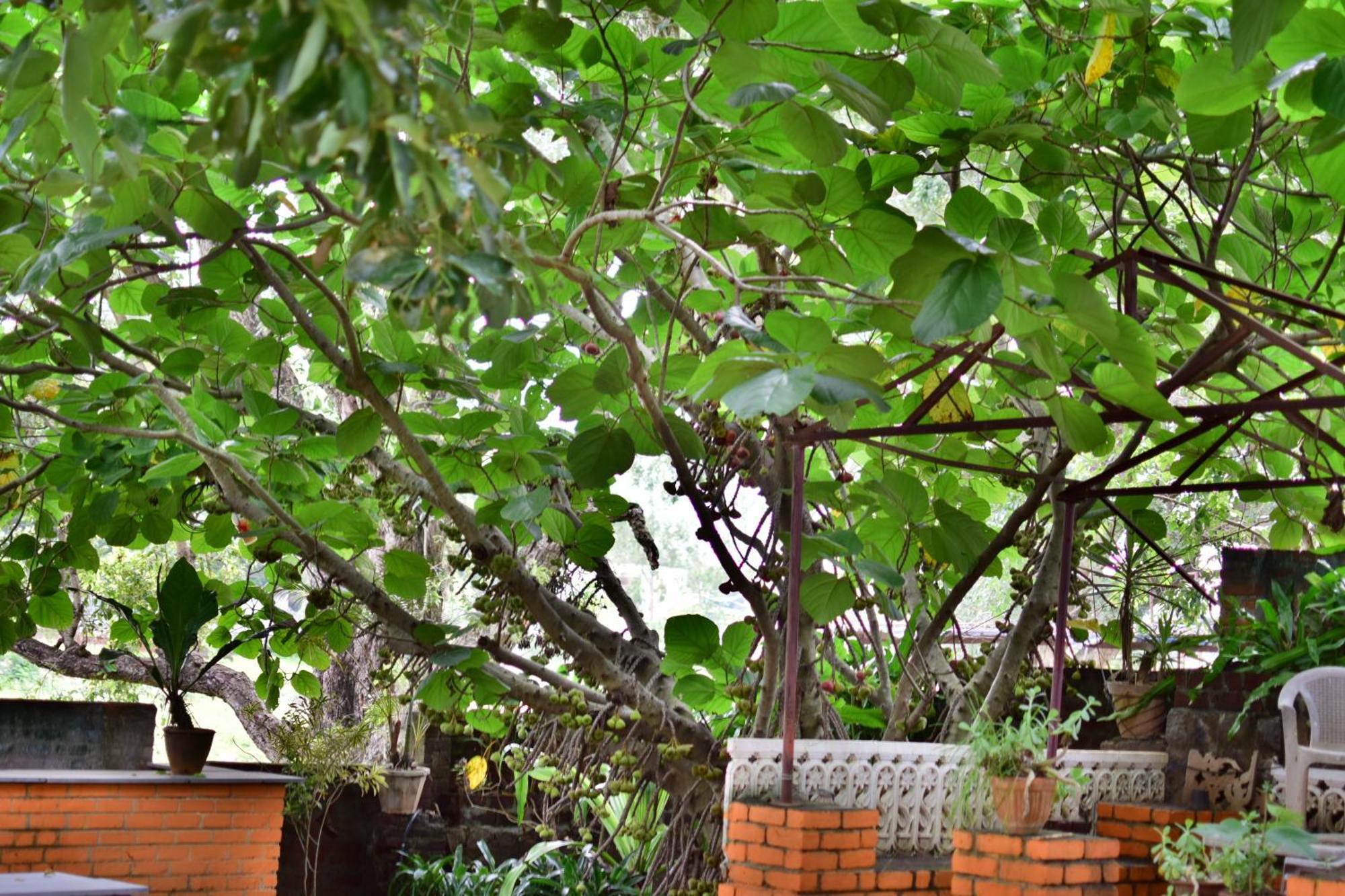 Silent Waters Resorts เยลาคีรี ภายนอก รูปภาพ
